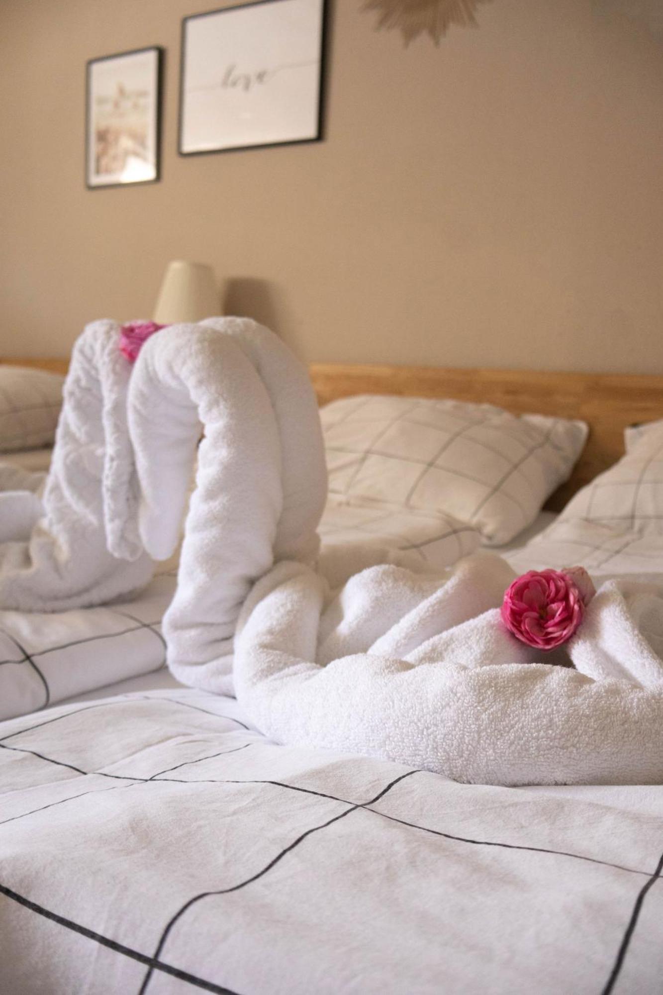 Kuzey Apartments Kappel-Grafenhausen Ngoại thất bức ảnh